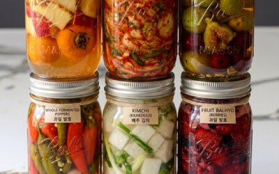 BALHYO (발효) The Art of Fermentation